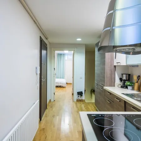 Apartment Elegant 2 Bedroom Duplex House With Garden In Cihangir *