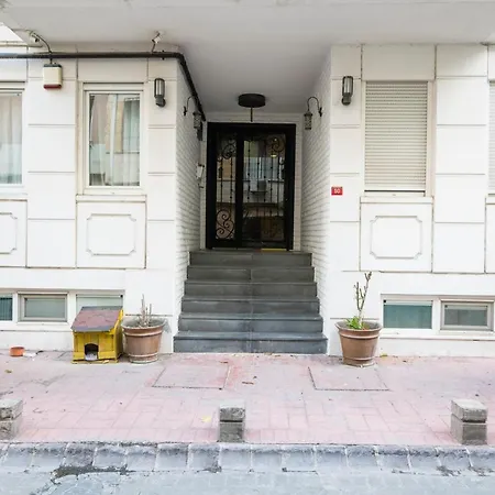 Elegant 2 Bedroom Duplex House With Garden In Cihangir