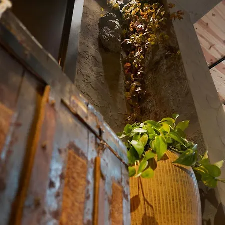 Luxury Of A With The Comfort Of In The Center Of Kadikoy Apartment