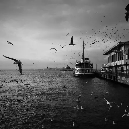 Luxury Of A With The Comfort Of In The Center Of Kadikoy * Istanbul