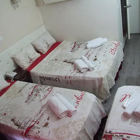 Artemis Old Hotel 3*