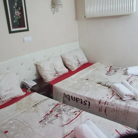 Hotel Artemis Old Istanbul