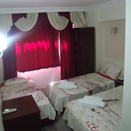 Hotel Artemis Old