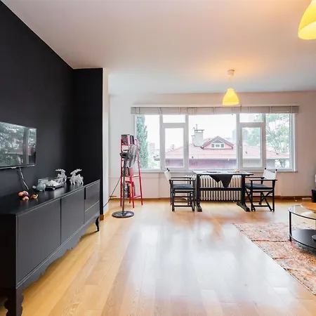 Central Stylish House In Gayrettepe *