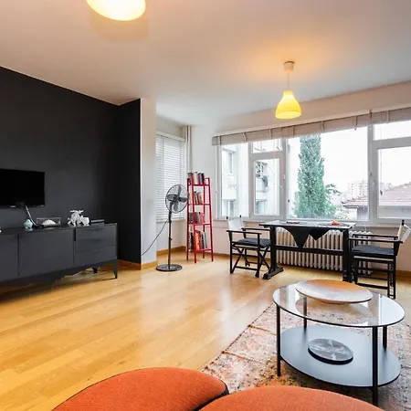 Central Stylish House In Gayrettepe