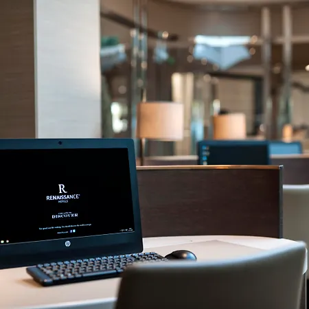 Renaissance Polat Estambul