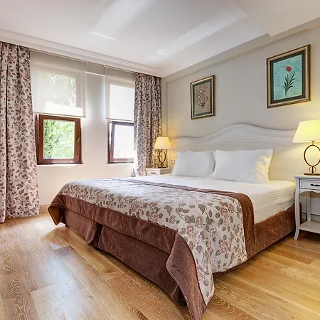 Arena - Special Class Hotel 4*