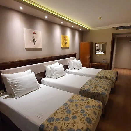 Asur Hotel 3*