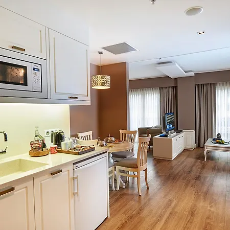 فندق ريناتا البوتيكي شيشلي 4*