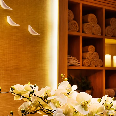 - Kadikoy By Ihg Hotel Istanboel