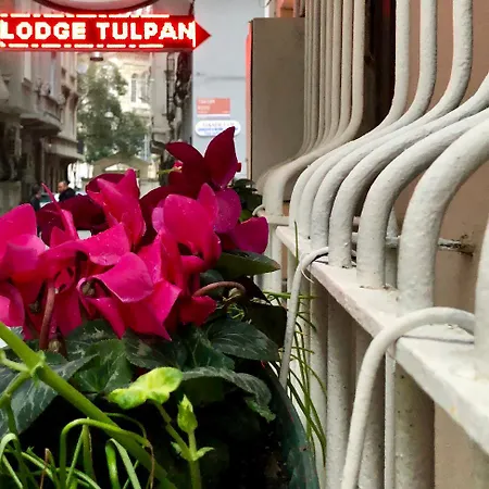 The House Of Tulpan Hotel