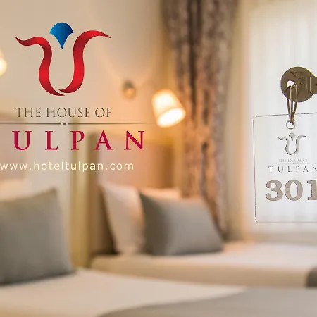 Hotel The House Of Tulpan Provincia di Istanbul
