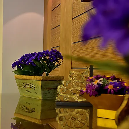 Cheya Besiktas Bosphorus City Center & Hotel Istanbul