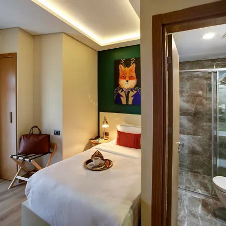 Hotel The Fox Provincia di Istanbul