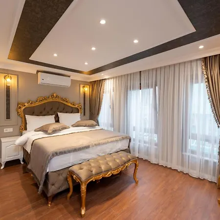 Azalea Mansion Oldcity Hotel Provincia di Istanbul