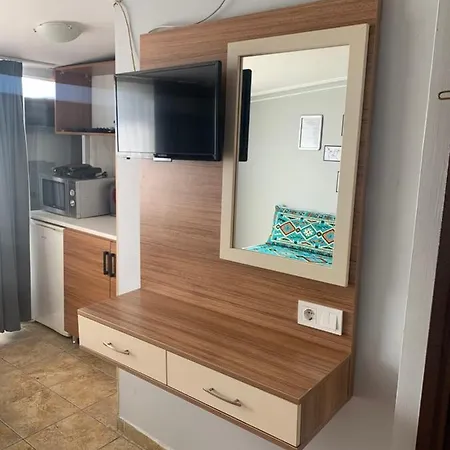 Pine Stone Sultanahmet Apartment