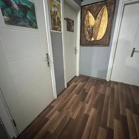 Cherry Hostel