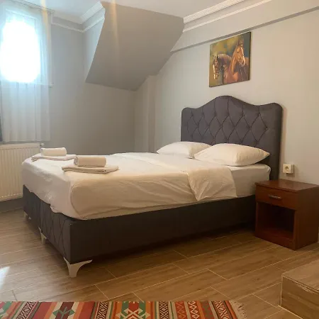 Pine Stone Sultanahmet Apartment Istanbul