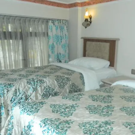 Aldem Hotel 3*
