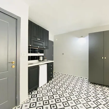 Pleasant Studio Flat In Kabatas Beyoglu *