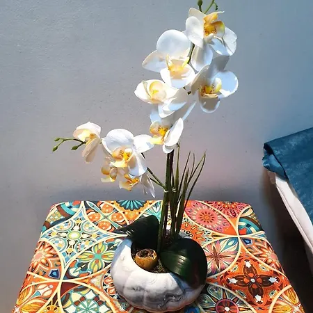 Apartment Ariya Yildiz Apart Istanbul