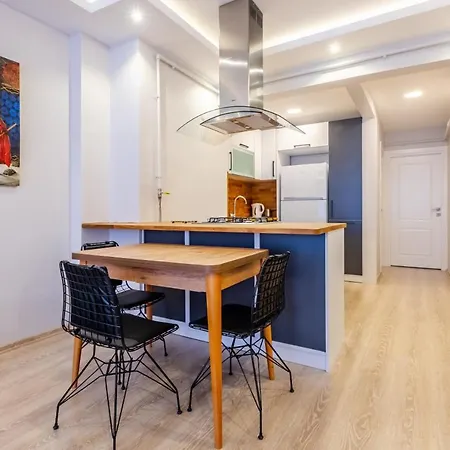 公寓 Splendid Flat In The Heart Of Cihangir *