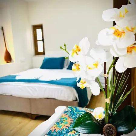 Ariya Yildiz Apart Apartment Istanbul