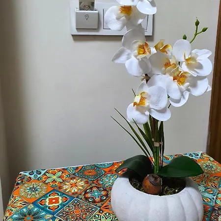 Ariya Yildiz Apart Apartment