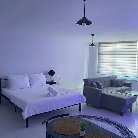 No19 Pendik イスタンブール