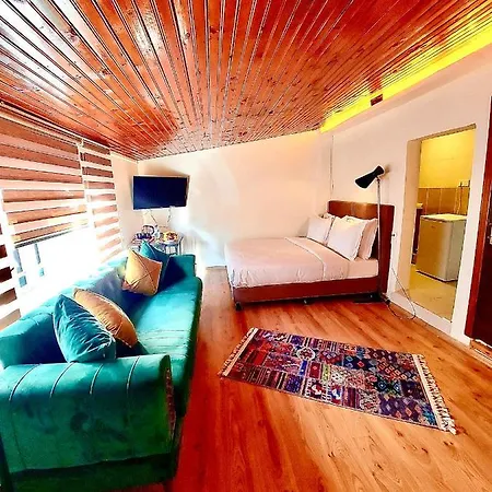 Mates Historical Hotel 3*