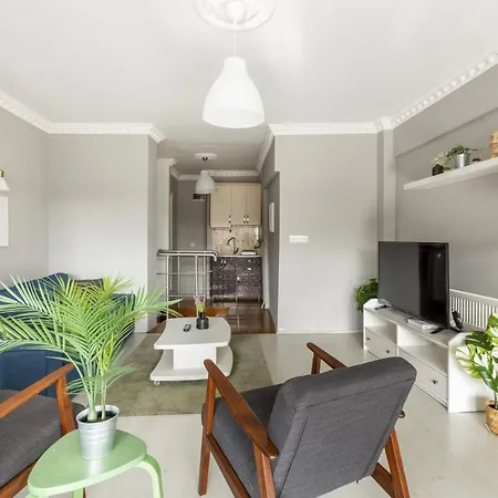 Charming Besiktas Flat With A Lovely Terrace アパート *