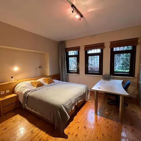3+1,villa, 10min To Kadikoypier Villa Istanbul