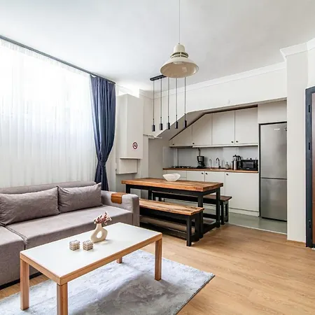 Apartament Gorgeous In The Heart Of Cihangir *