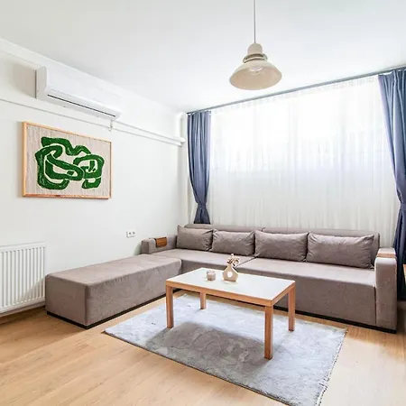 Gorgeous In The Heart Of Cihangir Apartment Istanbul