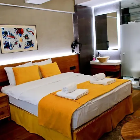Hotel Aleksandr Pera