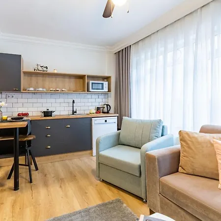 Missafir Impressive Flat In The Heart Of Cihangir Beyoglu * اسطنبول