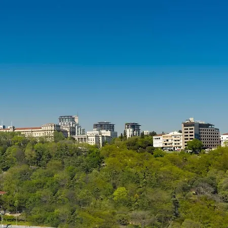 The Ritz-carlton, At The Bosphorus