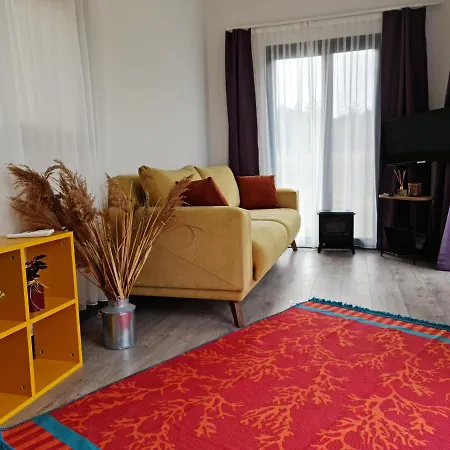 Kamp alanı Kucuk Evler Tiny Houses İstanbul