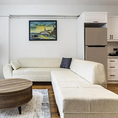 Modern Furnished Comfy 21 Flat In Sisli * Istanbul