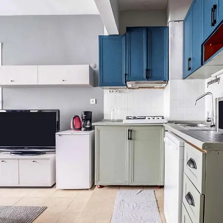 Sleek Flat With Excellent View In Cihangir Apartment