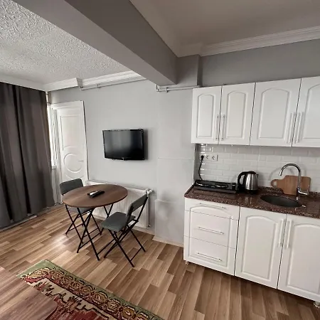 Modern Apart Close To Blue Mosque And Hagia Sophia Old Apartment Istanbul