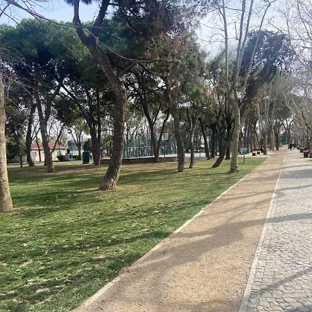 Serene & Spacious 3br In Istanbul's Prime Location - Discover Vibrant Seafront Living Daire *