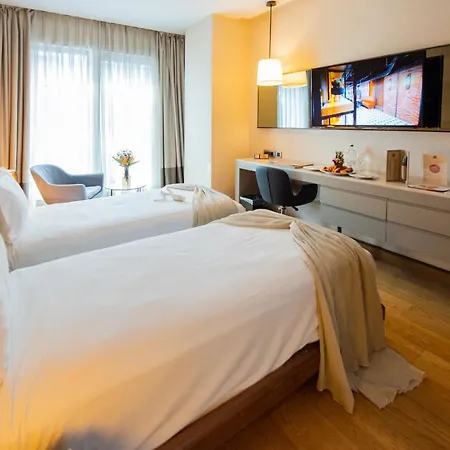 Dosso Dossi & Downtown Hotel Istanboel