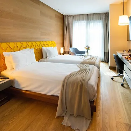Dosso Dossi & Downtown Hotel Istanboel