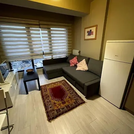 New Equipped Nef 08 Ac Apartment