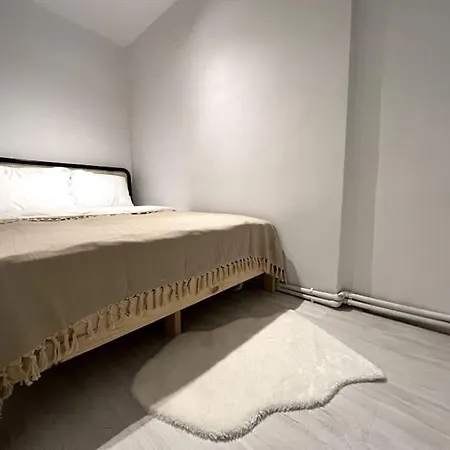 Apartment Cozy 2br Renovated 1 Min To Metro Istanbul