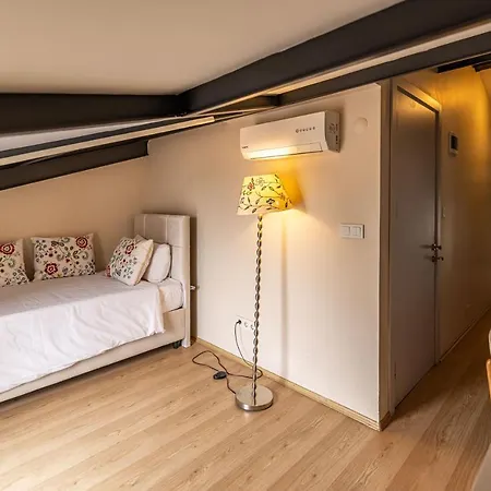 Calanthe Istambul