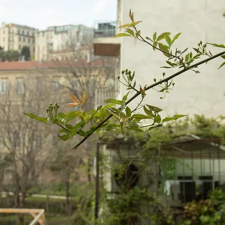 Hotel Louis Istanbul