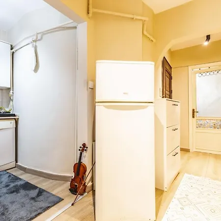 Spacious And Stylish Flat Near Taksim In Sisli Apartment *