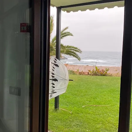 Palm Hotel miłości Ağva